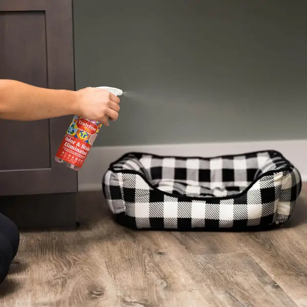 Odor-&-Stain-Eliminator--lifestyle-new