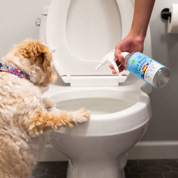 Toilet Bowl Cleaner